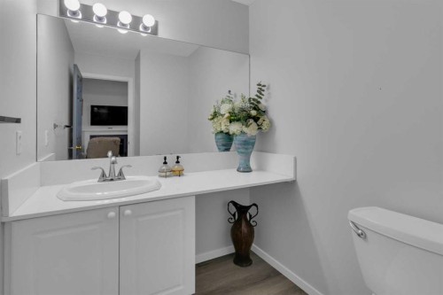 227 Harvest Gold Place Ne, Calgary, AB - Indoor Photo Showing Bathroom