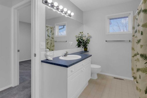 227 Harvest Gold Place Ne, Calgary, AB - Indoor Photo Showing Bathroom