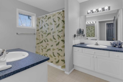 227 Harvest Gold Place Ne, Calgary, AB - Indoor Photo Showing Bathroom