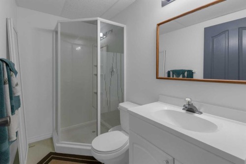 227 Harvest Gold Place Ne, Calgary, AB - Indoor Photo Showing Bathroom