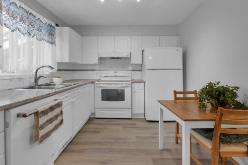 227 Harvest Gold Place Ne, Calgary, AB - Indoor Photo Showing Kitchen With Double Sink