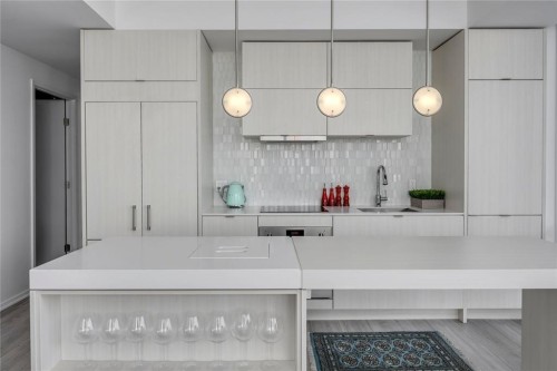 1107-615 6 Avenue Se, Calgary, AB - Indoor Photo Showing Kitchen