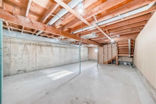 173 Castlebrook Way Ne, Calgary, AB - Indoor Photo Showing Basement