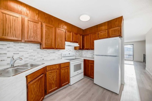173 Castlebrook Way Ne, Calgary, AB - Indoor Photo Showing Kitchen With Double Sink