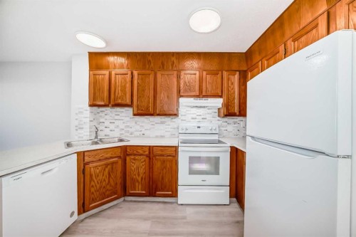 173 Castlebrook Way Ne, Calgary, AB - Indoor Photo Showing Kitchen With Double Sink