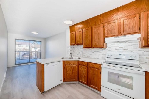 173 Castlebrook Way Ne, Calgary, AB - Indoor Photo Showing Kitchen With Double Sink