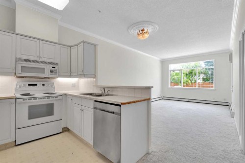 108-9449 19 Street Sw, Calgary, AB - Indoor Photo Showing Kitchen With Double Sink