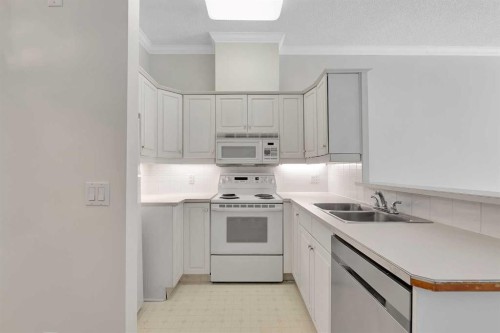 108-9449 19 Street Sw, Calgary, AB - Indoor Photo Showing Kitchen With Double Sink