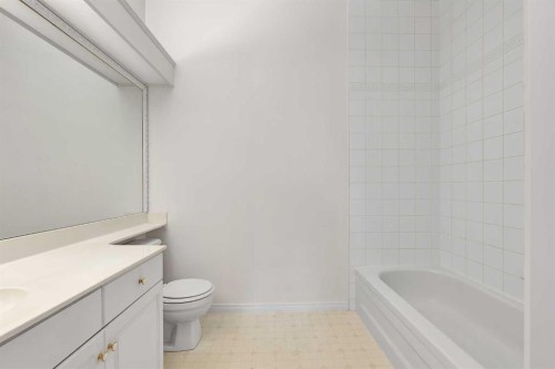 108-9449 19 Street Sw, Calgary, AB - Indoor Photo Showing Bathroom