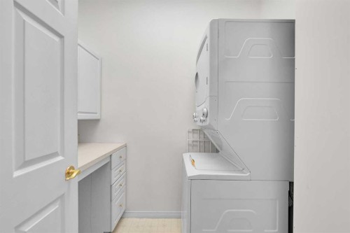 108-9449 19 Street Sw, Calgary, AB - Indoor Photo Showing Laundry Room