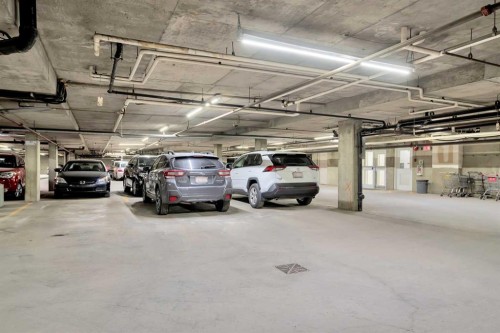 108-9449 19 Street Sw, Calgary, AB - Indoor Photo Showing Garage