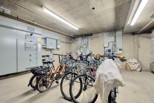 108-9449 19 Street Sw, Calgary, AB - Indoor Photo Showing Garage