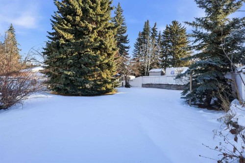 1347 Hamilton Street Nw, Calgary, AB - Outdoor