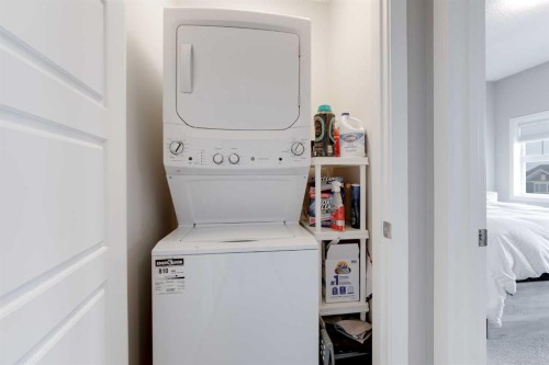 811-250 Fireside View, Cochrane, AB - Indoor Photo Showing Laundry Room