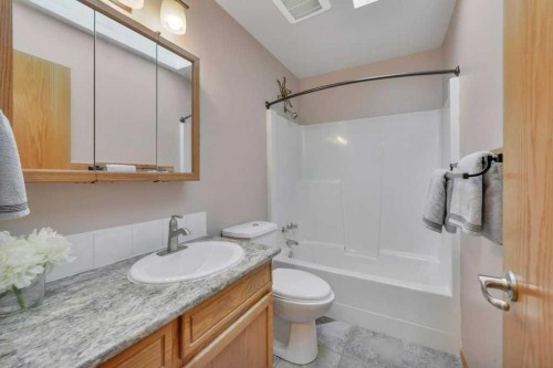 25-41124 Range Road 282, Rural Lacombe County, AB - Indoor Photo Showing Bathroom