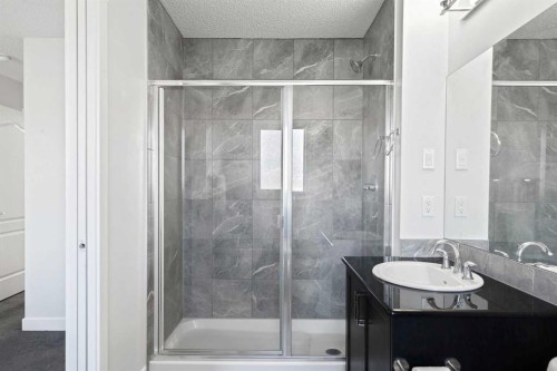 40 Cornerstone Avenue Ne, Calgary, AB - Indoor Photo Showing Bathroom