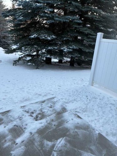 147 Somervale Park Sw, Calgary, AB - Outdoor