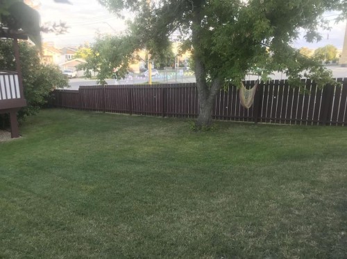 2135 Spiller Road Se, Calgary, AB - Outdoor