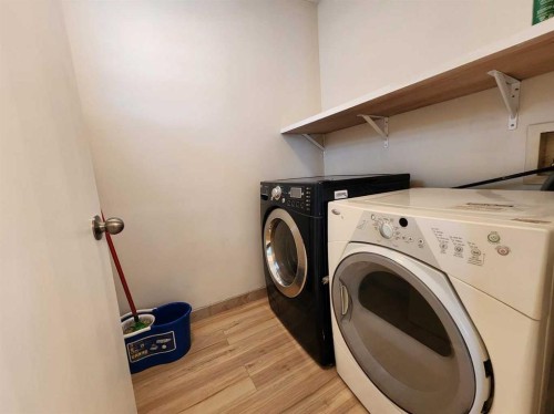 86 Harvest Rose Circle Ne, Calgary, AB - Indoor Photo Showing Laundry Room