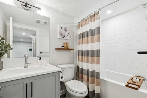 169 Braniff Crescent Sw, Calgary, AB - Indoor Photo Showing Bathroom