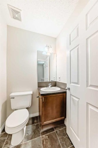49 Covebrook Place Ne, Calgary, AB - Indoor Photo Showing Bathroom