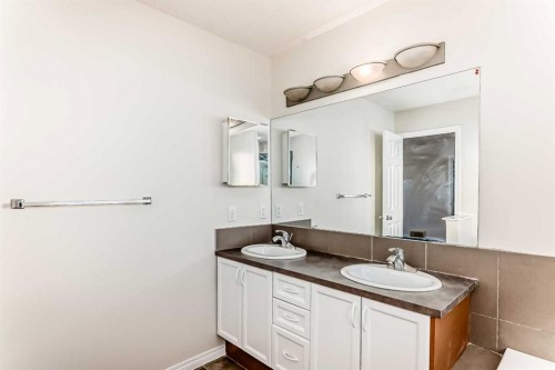 49 Covebrook Place Ne, Calgary, AB - Indoor Photo Showing Bathroom