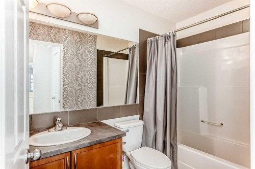 49 Covebrook Place Ne, Calgary, AB - Indoor Photo Showing Bathroom