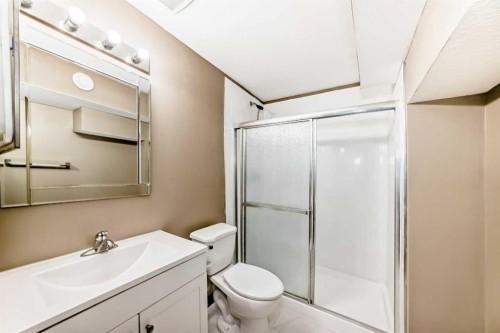 49 Covebrook Place Ne, Calgary, AB - Indoor Photo Showing Bathroom
