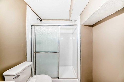 49 Covebrook Place Ne, Calgary, AB - Indoor Photo Showing Bathroom