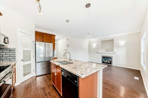 49 Covebrook Place Ne, Calgary, AB - Indoor Photo Showing Kitchen With Fireplace With Double Sink With Upgraded Kitchen