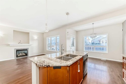49 Covebrook Place Ne, Calgary, AB - Indoor Photo Showing Kitchen With Fireplace With Double Sink