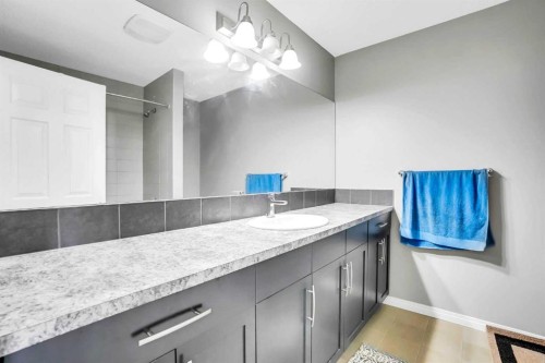 76 Cityscape Grove Ne, Calgary, AB - Indoor Photo Showing Bathroom
