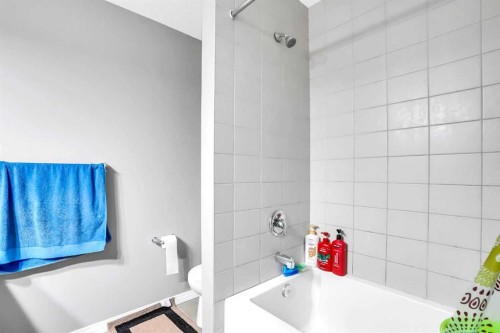 76 Cityscape Grove Ne, Calgary, AB - Indoor Photo Showing Bathroom
