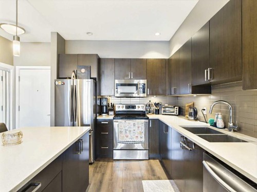305-28 Auburn Bay Link Se, Calgary, AB - Indoor Photo Showing Kitchen With Double Sink With Upgraded Kitchen