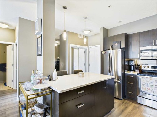 305-28 Auburn Bay Link Se, Calgary, AB - Indoor Photo Showing Kitchen With Upgraded Kitchen