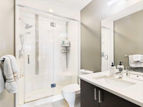 305-28 Auburn Bay Link Se, Calgary, AB - Indoor Photo Showing Bathroom