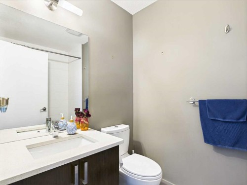 305-28 Auburn Bay Link Se, Calgary, AB - Indoor Photo Showing Bathroom