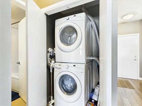 305-28 Auburn Bay Link Se, Calgary, AB - Indoor Photo Showing Laundry Room