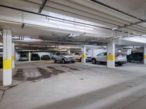 305-28 Auburn Bay Link Se, Calgary, AB - Indoor Photo Showing Garage