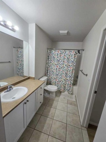 1213-1053 10 Street Sw, Calgary, AB - Indoor Photo Showing Bathroom