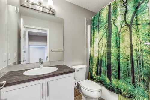 108 Evanston Hill Nw, Calgary, AB - Indoor Photo Showing Bathroom