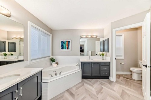 335 Morningside Crescent Sw, Airdrie, AB - Indoor Photo Showing Bathroom