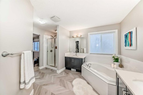 335 Morningside Crescent Sw, Airdrie, AB - Indoor Photo Showing Bathroom