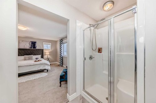 335 Morningside Crescent Sw, Airdrie, AB - Indoor Photo Showing Bathroom