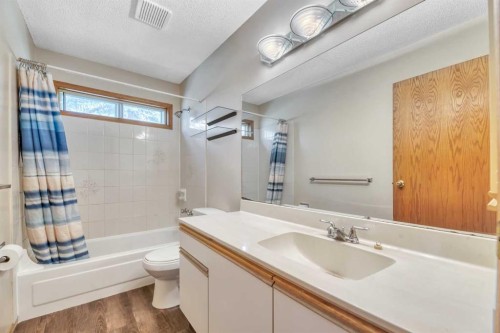 103 Riverglen Park Se, Calgary, AB - Indoor Photo Showing Bathroom