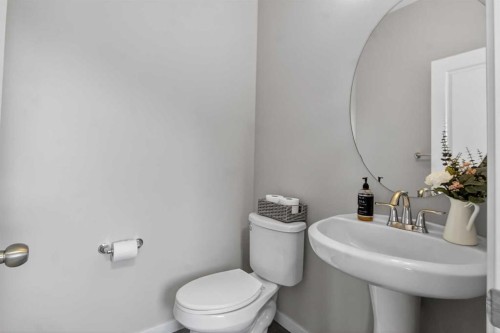 146 Marquis Common Se, Calgary, AB - Indoor Photo Showing Bathroom