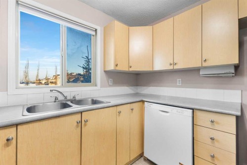 1202-16969 24 Street Sw, Calgary, AB - Indoor Photo Showing Kitchen With Double Sink