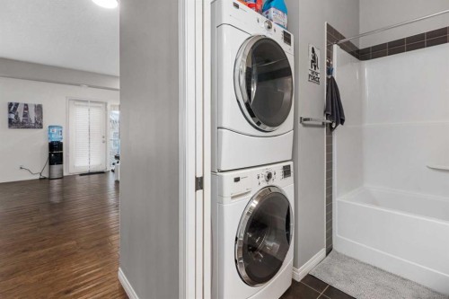 169 Auburn Meadows Walk Se, Calgary, AB - Indoor Photo Showing Laundry Room