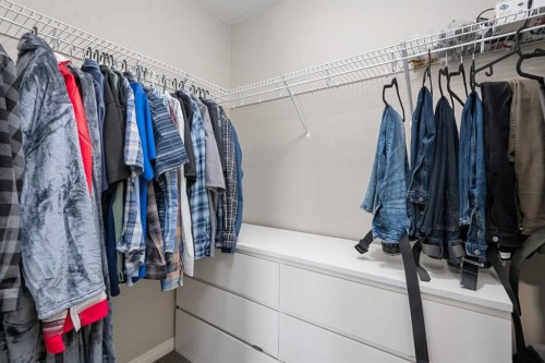 169 Auburn Meadows Walk Se, Calgary, AB - Indoor With Storage