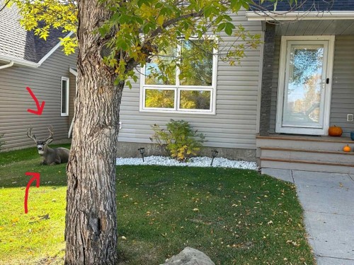 135 Westridge Close, Okotoks, AB - Outdoor With Exterior